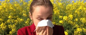 desatoro pre peľových alergikov: ako prežiť nadchádzajúcu sezónu?