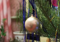 Výhody a nevýhody živého vianočného stromčeka