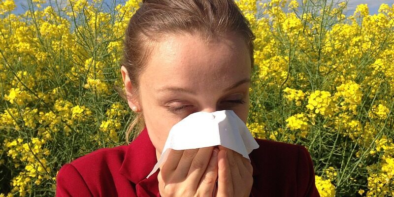 desatoro pre peľových alergikov: ako prežiť nadchádzajúcu sezónu?