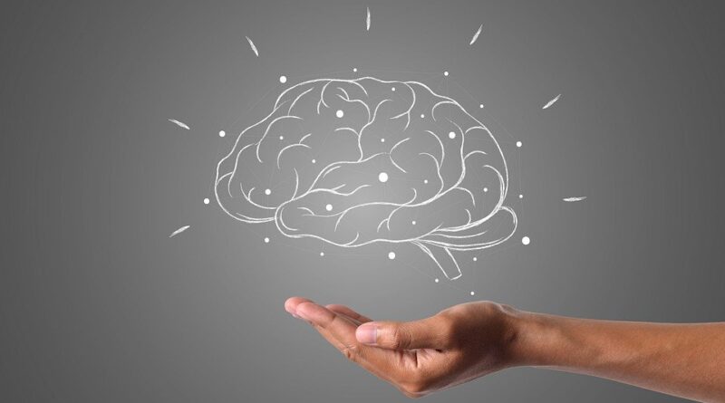 Ako najlepšie trénovať mozog? Radia vedci